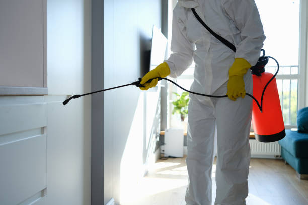 Professional Mold Remediation in Key Largo, FL